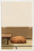 Capybara